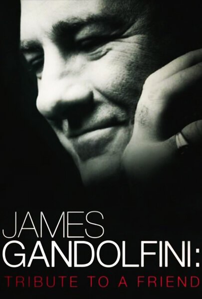 Смотреть фильм James Gandolfini: Tribute to a Friend (2013) онлайн в хорошем качестве HDRip