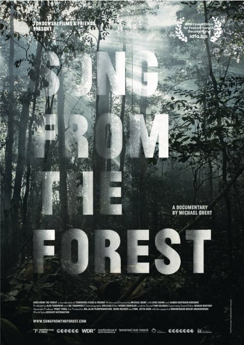 Смотреть фильм Song from the Forest (2013) онлайн в хорошем качестве HDRip