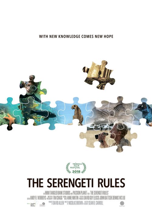 Смотреть фильм Законы Серенгети / The Serengeti Rules (2018) онлайн в хорошем качестве HDRip