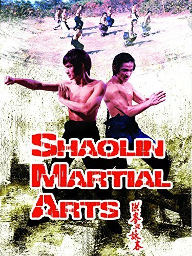 Смотреть фильм Боевые искусства Шаолиня / Hong quan yu yong chun (1974) онлайн в хорошем качестве SATRip