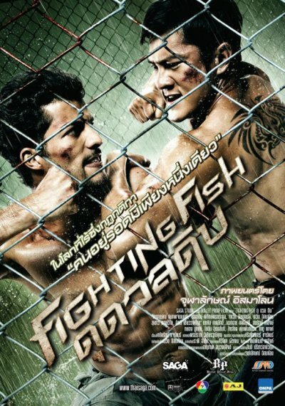 Смотреть фильм Бойцовая рыбка / Fighting Fish (2012) онлайн в хорошем качестве HDRip