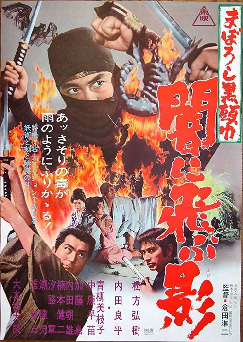 Смотреть фильм Черный ниндзя / Maboroshi kurozukin - yami ni tobu kage (1967) онлайн в хорошем качестве SATRip
