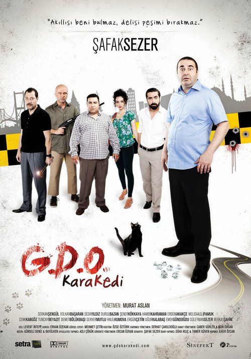 Смотреть фильм Чёрная кошка / G.D.O. Kara Kedi (2013) онлайн в хорошем качестве HDRip