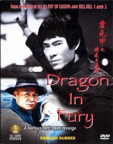 Смотреть фильм Дракон в ярости / Huo yuan jia zhi jing wu zhen ying xiong (2004) онлайн в хорошем качестве HDRip