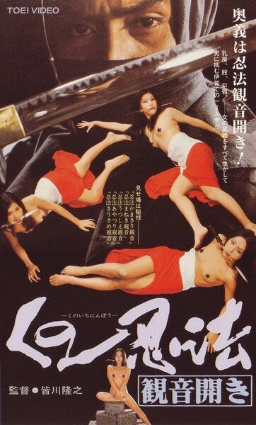 Смотреть фильм Хроники династии ниндзя / Kunoichi ninpô chô (1991) онлайн в хорошем качестве HDRip