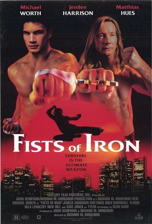 Смотреть фильм Кастет / Fists of Iron (1995) онлайн в хорошем качестве HDRip