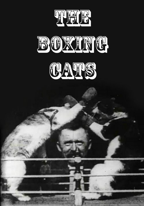Смотреть фильм Кошачий бокс / The Boxing Cats (Prof. Welton's) (1894) онлайн 