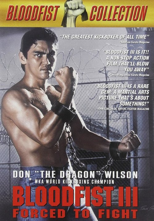 Смотреть фильм Кровавый кулак 3: Вынужденный поединок / Bloodfist III: Forced to Fight (1991) онлайн в хорошем качестве HDRip
