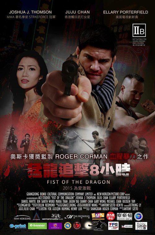 Смотреть фильм Кулак дракона / Fist of the Dragon (2014) онлайн в хорошем качестве HDRip