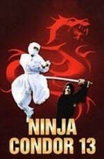 Смотреть фильм Ниндзя-стервятник / Ninjas, Condors 13 (1987) онлайн в хорошем качестве SATRip