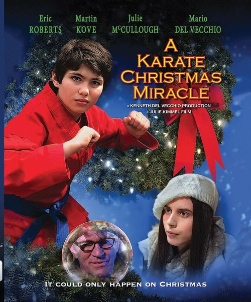 Смотреть фильм Рождественское чудо в стиле карате / A Karate Christmas Miracle (2019) онлайн в хорошем качестве HDRip