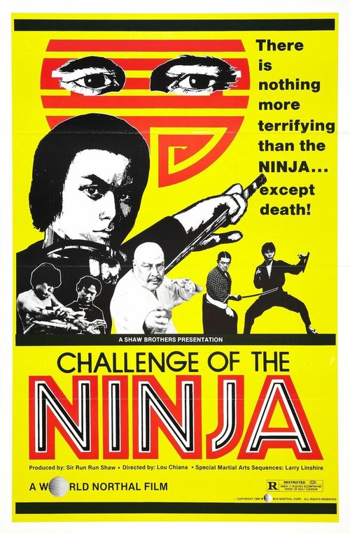Смотреть фильм Шаолинь вызывает ниндзя / Zhong hua zhang fu (1978) онлайн в хорошем качестве SATRip