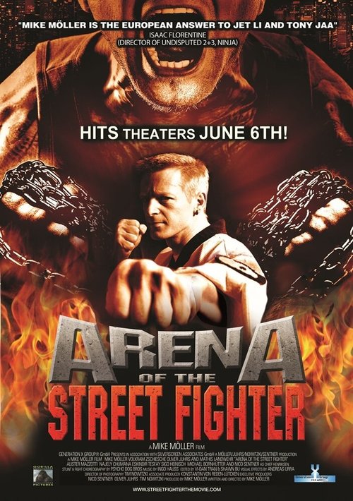 Смотреть фильм Уличный боец / Arena of the Street Fighter (2012) онлайн в хорошем качестве HDRip