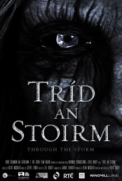 Смотреть фильм Во время шторма / Tríd an Stoirm (2012) онлайн 