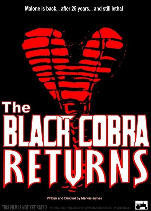 Смотреть фильм Возвращение Черной кобры / The Black Cobra Returns  онлайн 