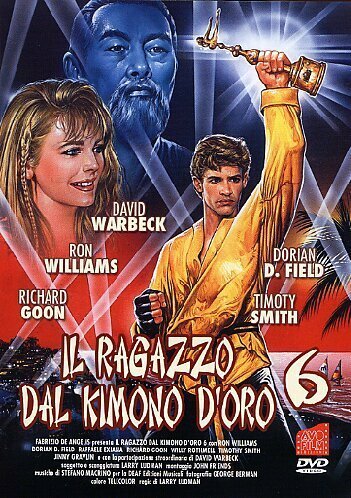 Смотреть фильм Золотое кимоно воина 6 / Il ragazzo dal kimono d'oro 6 (1993) онлайн 