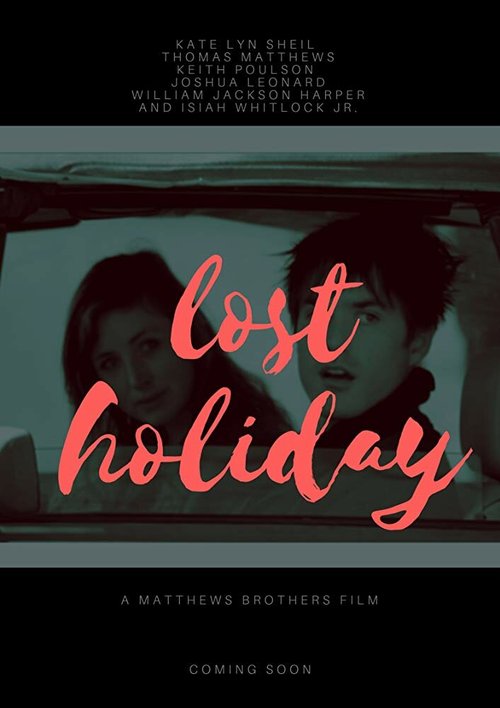 Смотреть фильм Безумные каникулы / Lost Holiday (2019) онлайн в хорошем качестве HDRip