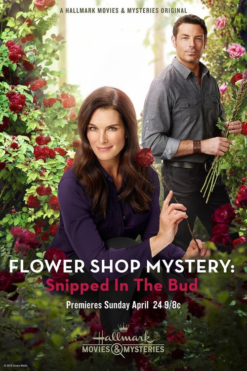 Смотреть фильм Flower Shop Mystery: Snipped in the Bud (2016) онлайн 
