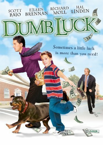 Смотреть фильм Глупый случай / Dumb Luck (2001) онлайн в хорошем качестве HDRip