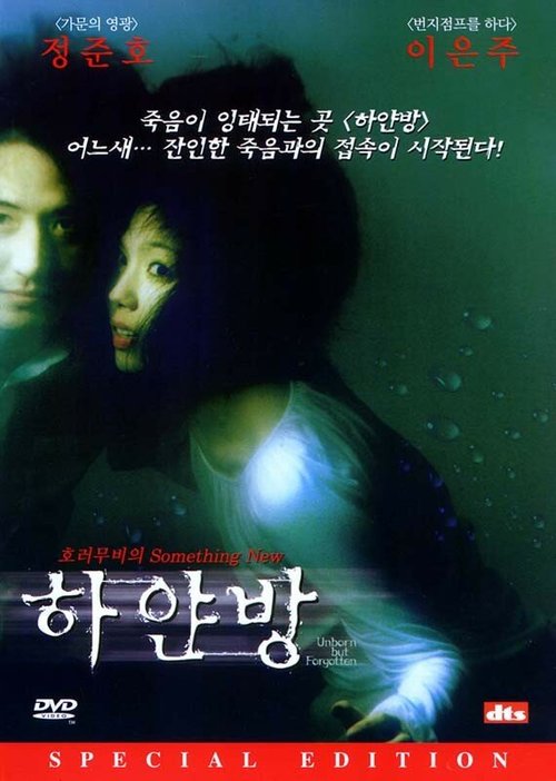 Смотреть фильм Нерождённый и всеми забытый / Hayanbang (2002) онлайн в хорошем качестве HDRip