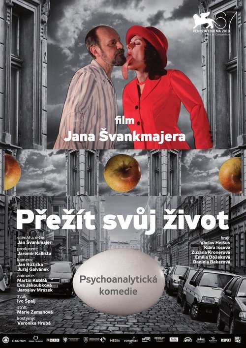 Смотреть фильм Пережить свою жизнь / Prezít svuj zivot (teorie a praxe) (2010) онлайн в хорошем качестве HDRip