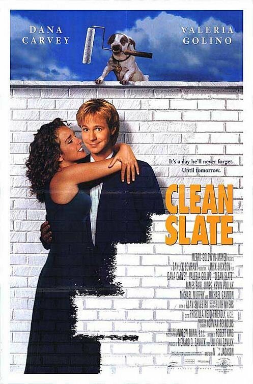 Смотреть фильм Стерлось из памяти / Clean Slate (1994) онлайн в хорошем качестве HDRip