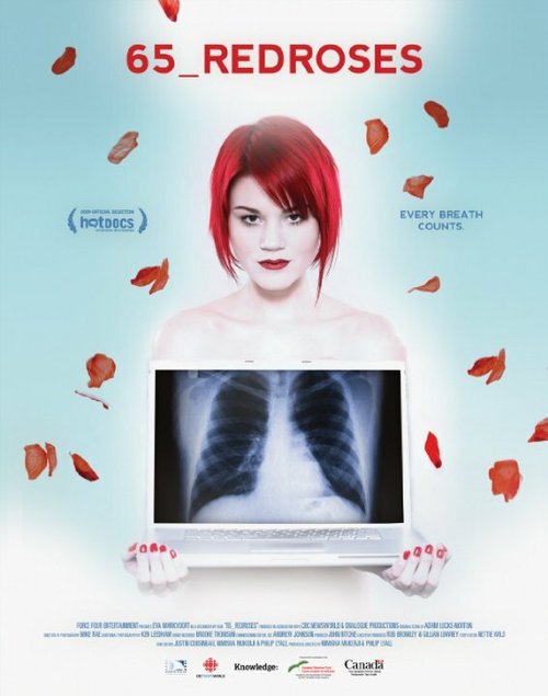 Смотреть фильм 65_RedRoses (2009) онлайн в хорошем качестве HDRip