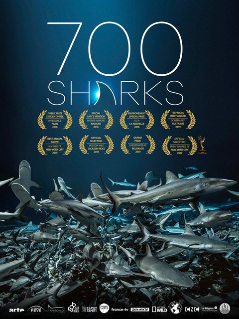 Смотреть фильм 700 акул / 700 Sharks (2019) онлайн в хорошем качестве HDRip