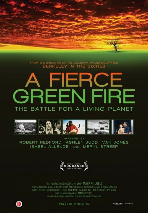 Смотреть фильм A Fierce Green Fire (2012) онлайн в хорошем качестве HDRip