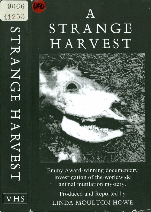 Смотреть фильм A Strange Harvest (1980) онлайн в хорошем качестве SATRip