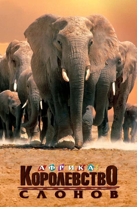 Смотреть фильм Африка — королевство слонов / Africa's Elephant Kingdom (1998) онлайн в хорошем качестве HDRip