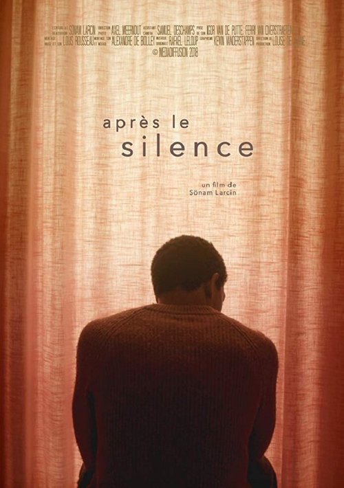 Смотреть фильм After the silence (2018) онлайн 