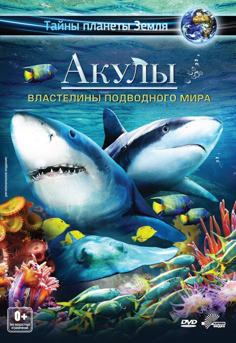 Смотреть фильм Акулы 3D: Властелины подводного мира / Sharks 3D: Kings of the Ocean (2013) онлайн в хорошем качестве HDRip