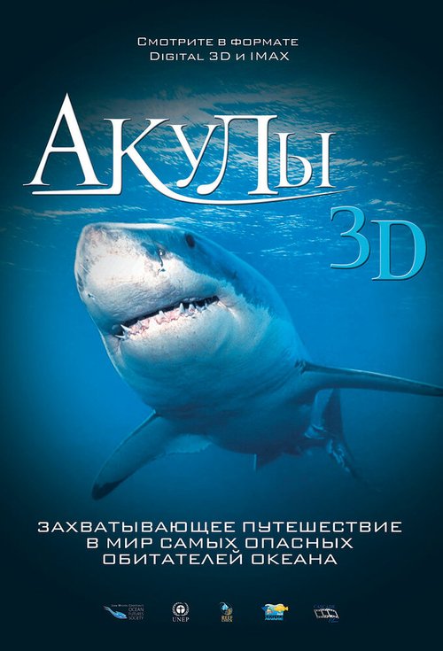 Смотреть фильм Акулы 3D / Sharks 3D (2004) онлайн в хорошем качестве HDRip