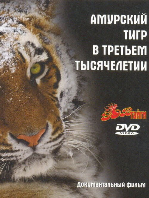 Смотреть фильм Амурский тигр в третьем тысячелетии (2010) онлайн в хорошем качестве HDRip