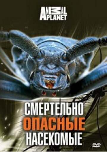 Смотреть фильм Animal Planet: Смертельно опасные насекомые / Deadly Bugs (1998) онлайн в хорошем качестве HDRip