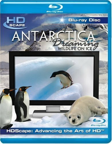 Антарктика — Дикая жизнь на льду / Antarctica Dreaming - WildLife On Ice