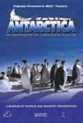 Антарктика: Путешествие в неизвестную природу / Antarctica
