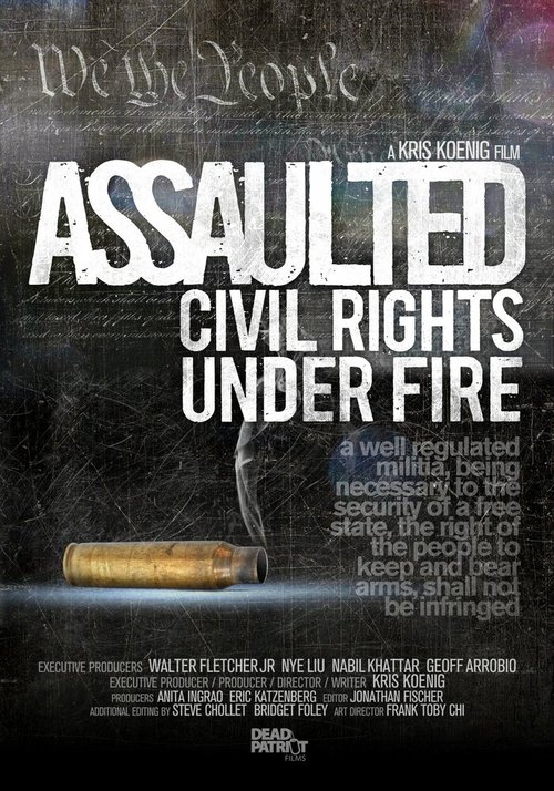 Смотреть фильм Assaulted: Civil Rights Under Fire (2013) онлайн в хорошем качестве HDRip