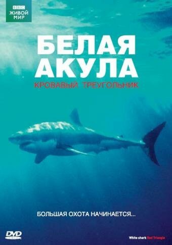 Смотреть фильм BBC: Белая акула. Кровавый треугольник / White Shark. Red Triangle (2002) онлайн в хорошем качестве HDRip