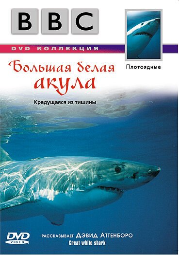 Смотреть фильм BBC: Большая белая акула / Great White Shark (1995) онлайн в хорошем качестве HDRip