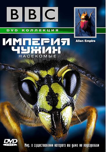 Смотреть фильм BBC: Империя чужих. Насекомые / Alien Empire (1996) онлайн в хорошем качестве HDRip