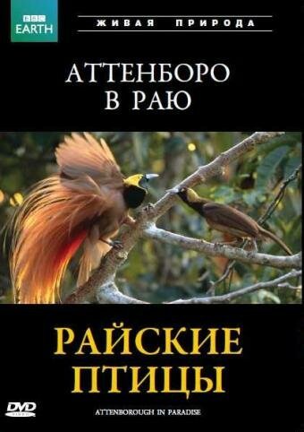 Смотреть фильм BBC: Райские птицы / Attenborough in Paradise (1996) онлайн в хорошем качестве HDRip