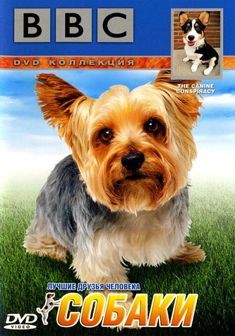 Смотреть фильм BBC: Собаки / BBC: The Canine Conspiracy (2002) онлайн в хорошем качестве HDRip