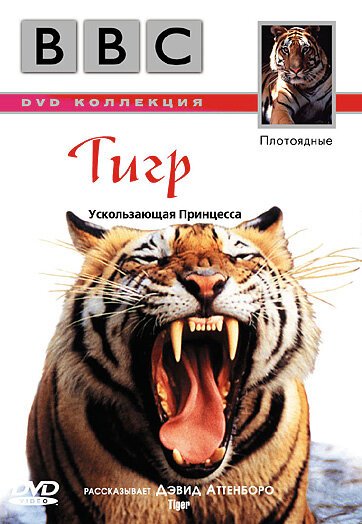 Смотреть фильм BBC: Тигр / Tiger (1999) онлайн в хорошем качестве HDRip