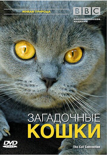 BBC: Загадочные кошки / The Cat Connection