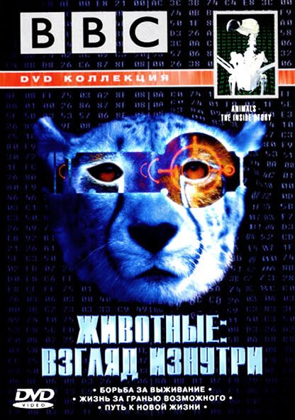 Смотреть фильм BBC: Животные: Взгляд изнутри / Animals - The Inside Story (2002) онлайн в хорошем качестве HDRip
