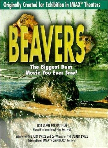 Смотреть фильм Beavers (1988) онлайн в хорошем качестве SATRip