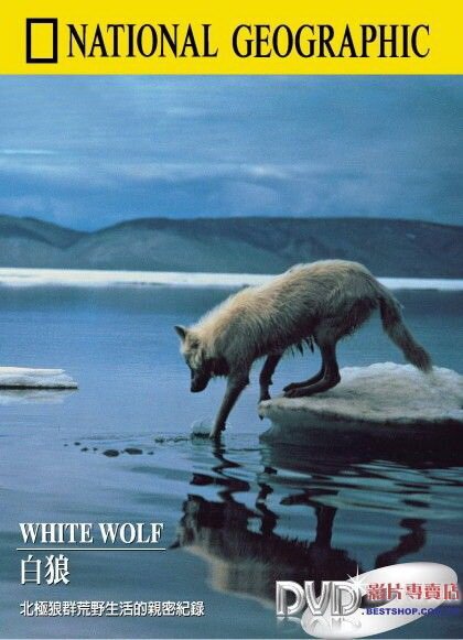 Смотреть фильм Белый волк / National Geographic: White Wolf (1986) онлайн в хорошем качестве SATRip