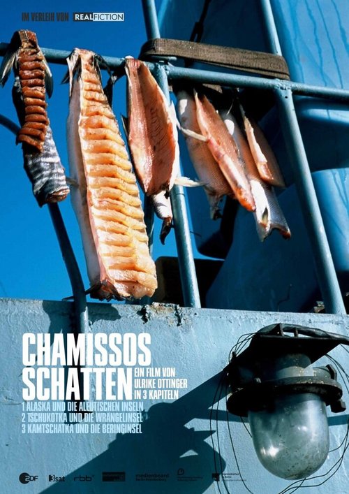 Смотреть фильм Chamissos Schatten (2016) онлайн в хорошем качестве CAMRip